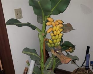 Wooden banana tree