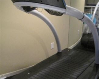 Woodway Desmo Treadmill.