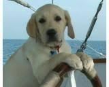 aaaa