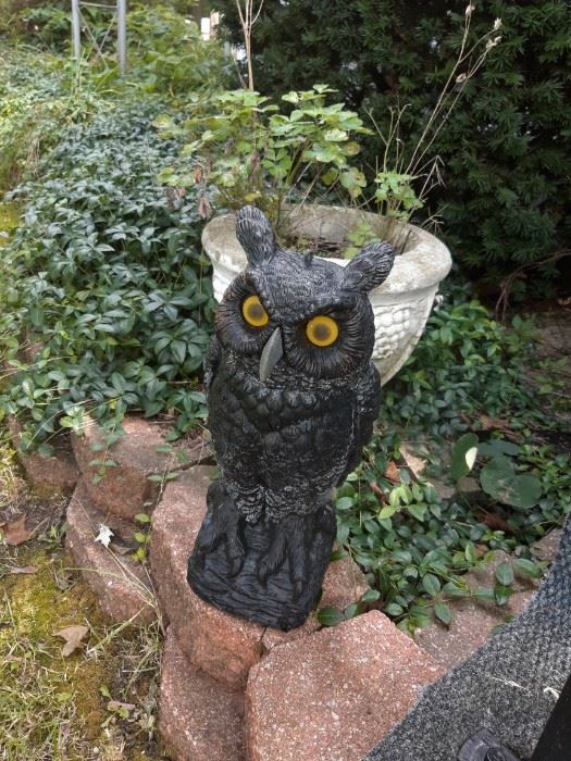 Garden Owls