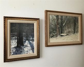 Original Oil Paintings 