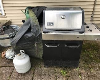 Weber Spirit