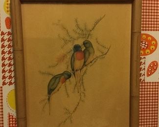 Vintage J Gould parakeet prints