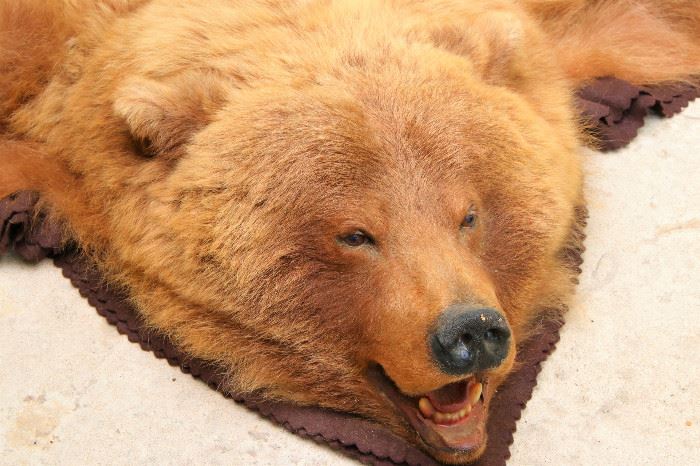 All of these items are in our current online auction, where you'll find detailed information, photos,and current bid price on each lot. This auction ends Monday, July 29th. There is a link to the auction in the Sale Description.