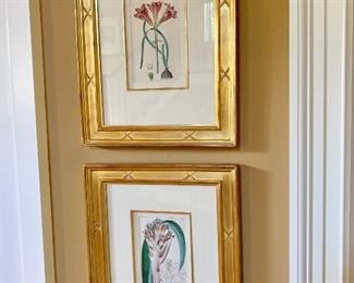 Framed botanicals