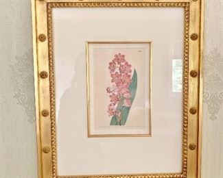 Framed botanical