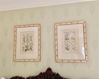 Framed botanical prints