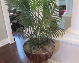 Plant in Gold Urn
