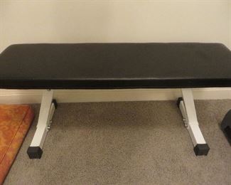 Work Out Bench
