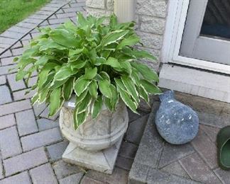 CEMENT PLANTER