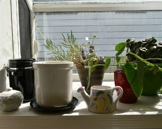LIVE PLANTS, CANISTERS