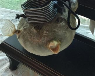 Dried blowfish 
