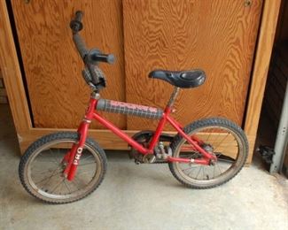 Randor Par Excellence children's bike