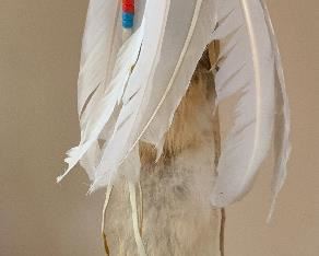 Native American Fox Pelt Talking Stick