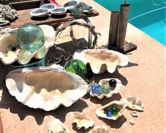 Giant Clam Shells with Many Japanese Fishing Floats