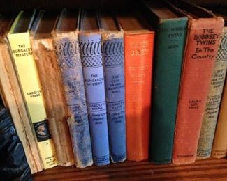 Remember Zane Grey, The Bobbsey Twins, Hardy Boys, and Nancy Drew?