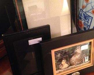 Some of the many frames