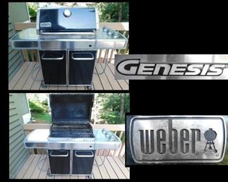 Weber Genesis Natural Gas Grill.