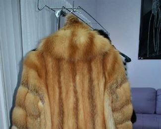 BACK OF FUR