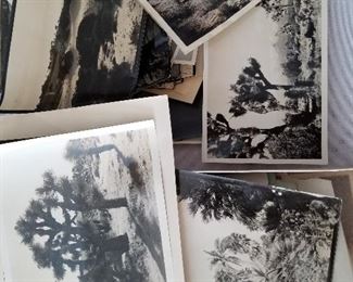 Box of palm springs photos from the 1930's
