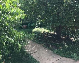Walkway To The Garage ~ Be Careful Of Tree Branches