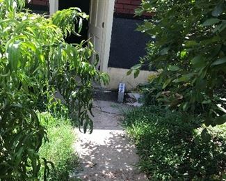 Walkway To The Garage ~ Be Careful Of Tree Branches