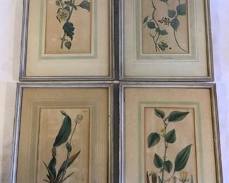 Old Botanical Originals (4Pcs) https://ctbids.com/#!/description/share/209681