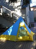 Vintage REI Sierra Designs Tent