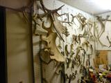 Antler workshop