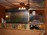 Aquariums