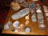 Rocks, Geodes and Fossils (trilobite, ammonite, bivalve, orthoceras).