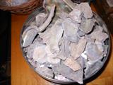 Albalone Shell fragments