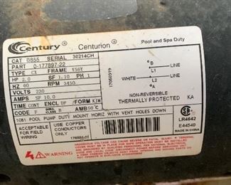 Century Centurion B855 Pool Pump