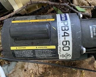 Polaris PB4-60 Booster Pump