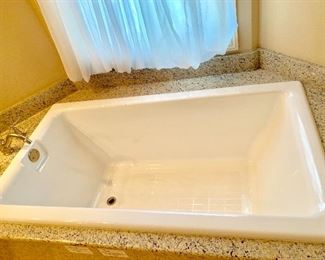 Contemporary Drop In Tub