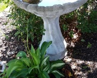 Concrete bird bath