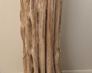 Saguaro Skeleton Pedestal Stand