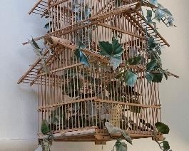 ✓ 6 Tier Bird cage