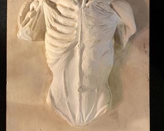 Skeletal/Muscular Cast Sculpture