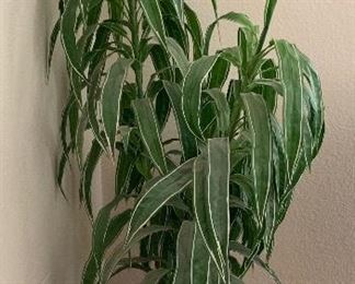 Faux Plant