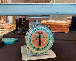 Vintage Hanson Nursery Scale