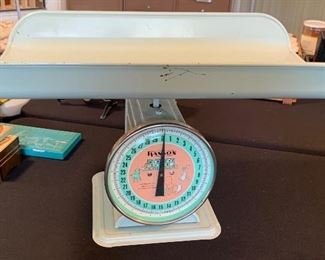 Vintage Hanson Nursery Scale