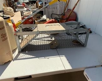 Rodent trap