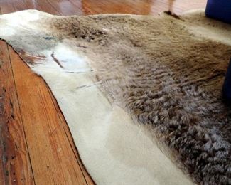COWHIDE RUG HOUSTON RODEO GRAND CHAMPION STEER