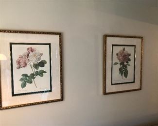 Botanical prints