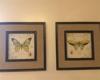Butterfly prints in frame