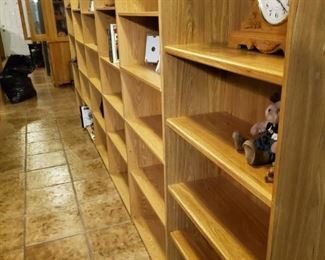 Lots of Book Shelves