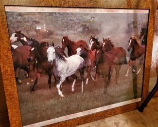 I love Horsies