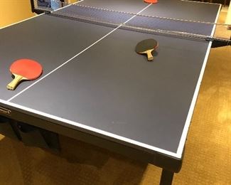 Ping-Pong Table