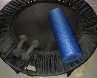 mini trampoline and hand weights